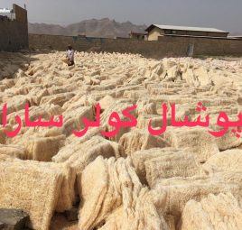 علت تعویض پوشال کولر ۰۹۱۳۱۰۰۸۱۵۷